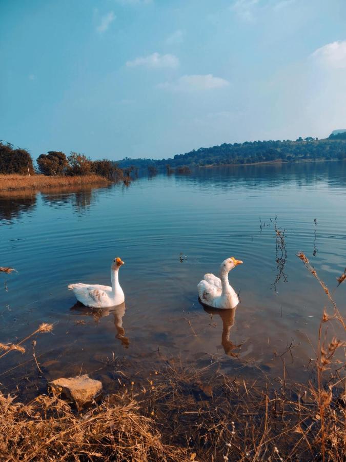 Mountain N Lake Resort Igatpuri Eksteriør billede